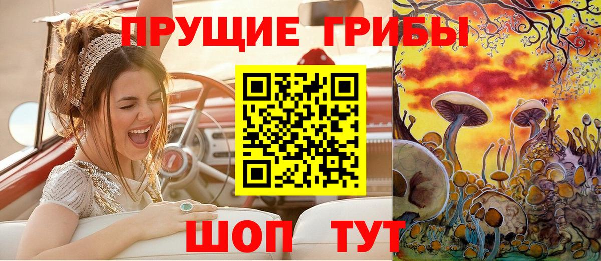 Псилоцибиновые грибы Magic Shrooms  продажа наркотиков  Вход с VPN  Губаха  Галлюциногенные грибы ЛСД 